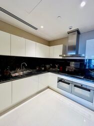 The Ritz-Carlton  (D9), Condominium #459403831